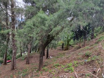 Terreno en la Peña de Valle de Bravo