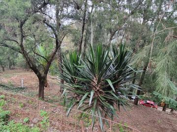Terreno en la Peña de Valle de Bravo