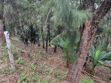 Terreno en la Peña de Valle de Bravo