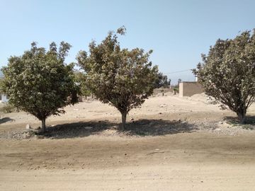 SE VENDE TERRENO DE 160M2 EN CIENEGUILLA - PACHACAMAC (COOPERATIVA DE VIVIENDA )