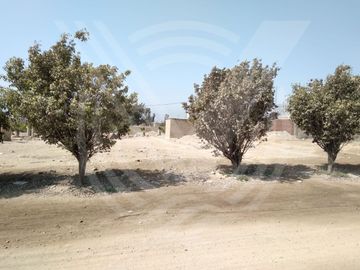 SE VENDE TERRENO DE 160M2 EN CIENEGUILLA - PACHACAMAC (COOPERATIVA DE VIVIENDA )