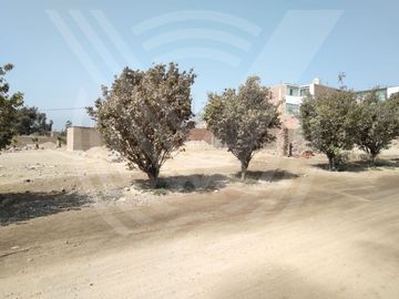 SE VENDE TERRENO DE 160M2 EN CIENEGUILLA - PACHACAMAC (COOPERATIVA DE VIVIENDA )