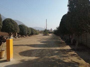 SE VENDE TERRENO DE 160M2 EN CIENEGUILLA - PACHACAMAC (COOPERATIVA DE VIVIENDA )
