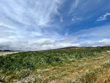 HACIENDA DE 187 HECTAREAS EN VENTA- MACHACHI SECTOR EL CHAUPI