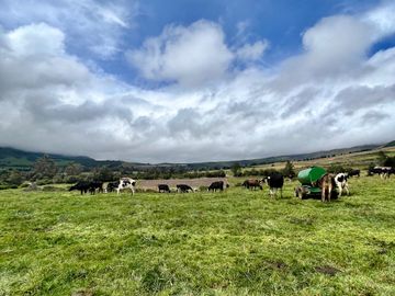 HACIENDA DE 187 HECTAREAS EN VENTA- MACHACHI SECTOR EL CHAUPI