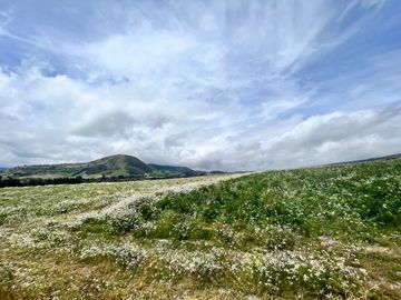 HACIENDA DE 187 HECTAREAS EN VENTA- MACHACHI SECTOR EL CHAUPI