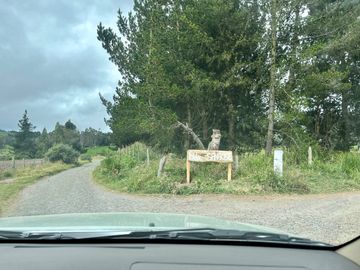 HACIENDA DE 187 HECTAREAS EN VENTA- MACHACHI SECTOR EL CHAUPI