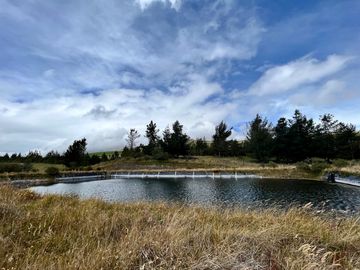 HACIENDA DE 187 HECTAREAS EN VENTA- MACHACHI SECTOR EL CHAUPI