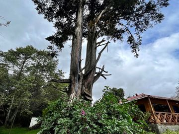 HACIENDA DE 187 HECTAREAS EN VENTA- MACHACHI SECTOR EL CHAUPI