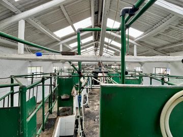 HACIENDA DE 187 HECTAREAS EN VENTA- MACHACHI SECTOR EL CHAUPI