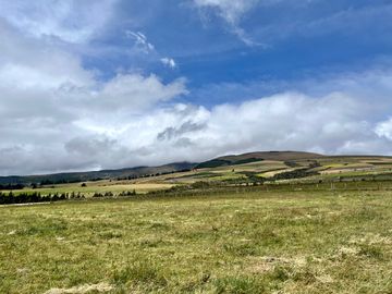 HACIENDA DE 187 HECTAREAS EN VENTA- MACHACHI SECTOR EL CHAUPI