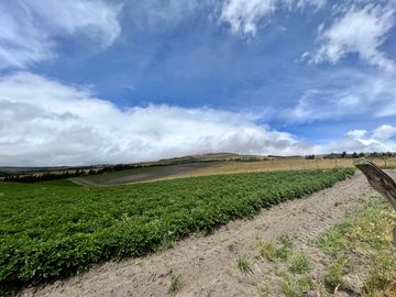 HACIENDA DE 187 HECTAREAS EN VENTA- MACHACHI SECTOR EL CHAUPI