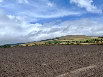 HACIENDA DE 187 HECTAREAS EN VENTA- MACHACHI SECTOR EL CHAUPI