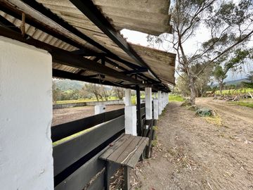 HACIENDA DE 187 HECTAREAS EN VENTA- MACHACHI SECTOR EL CHAUPI
