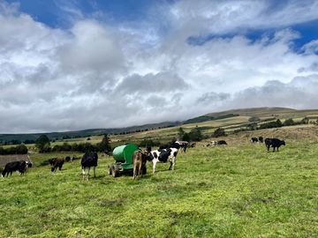 HACIENDA DE 187 HECTAREAS EN VENTA- MACHACHI SECTOR EL CHAUPI