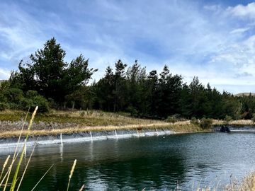 HACIENDA DE 187 HECTAREAS EN VENTA- MACHACHI SECTOR EL CHAUPI
