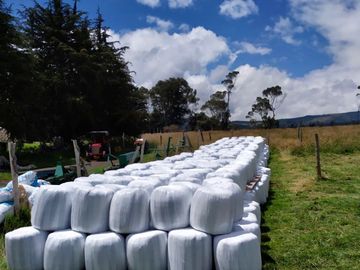 HACIENDA DE 187 HECTAREAS EN VENTA- MACHACHI SECTOR EL CHAUPI