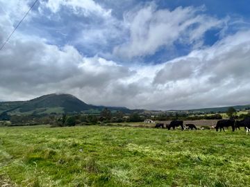 HACIENDA DE 187 HECTAREAS EN VENTA- MACHACHI SECTOR EL CHAUPI