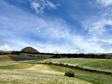 HACIENDA DE 187 HECTAREAS EN VENTA- MACHACHI SECTOR EL CHAUPI