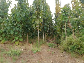Hacienda de Venta en Salinas, Ecuador