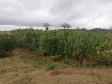 Hacienda de Venta en Salinas, Ecuador