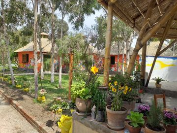 VENDO HOTEL 11 BUNGALOS  KM 101 PANAMERICANA SUR ASIA