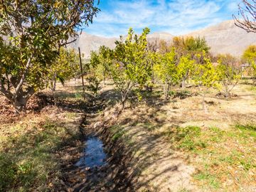Venta de hermosa Parcela con 2 casas, piscina y quincho, Vicuña. 11.000 UF