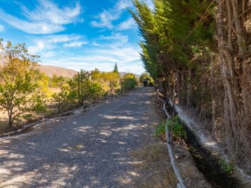 Venta de hermosa Parcela con 2 casas, piscina y quincho, Vicuña. 11.000 UF