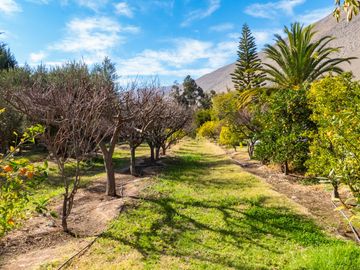 Venta de hermosa Parcela con 2 casas, piscina y quincho, Vicuña. 11.000 UF