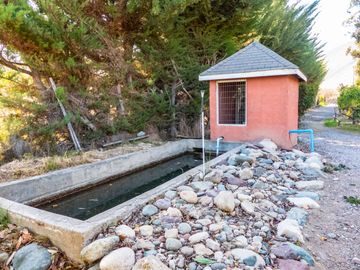 Venta de hermosa Parcela con 2 casas, piscina y quincho, Vicuña. 11.000 UF