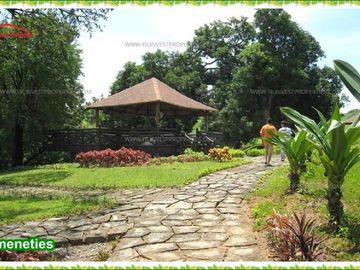Lot For Sale in Taytay Rizal, Highlands Pointe