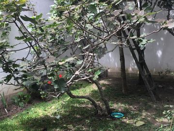 Miraflores, Casa En Venta En Avenida República de Panamá