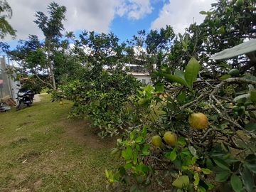 Venta de casa campestre via al mar km 34 Dagua Valle del cauca