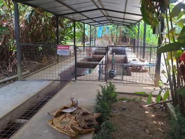 Bananera de Venta en Ventanas