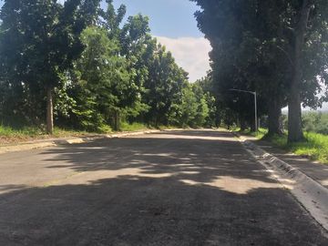 New Southwoods Residential Lot Flexible Term Located In Carmona Cavite For Sale