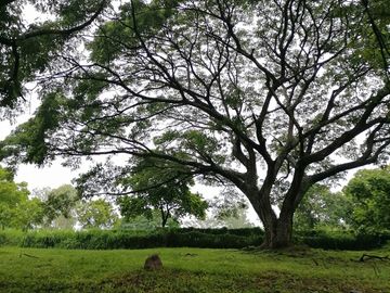 New Southwoods Residential Lot Flexible Term Located In Carmona Cavite For Sale