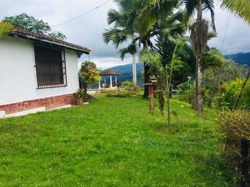 ALQUILER FINCA  EL CARMELO