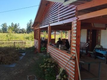 2024/513 PARCELA AGRICOLA CON CASA SECTOR SANTA MARGARITA (PELARCO)