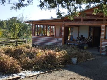 2024/513 PARCELA AGRICOLA CON CASA SECTOR SANTA MARGARITA (PELARCO)
