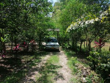 VENTA DE FINCA CARMEN DE APICALA - TOLIMA