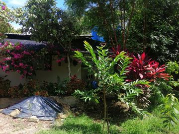VENTA DE FINCA CARMEN DE APICALA - TOLIMA
