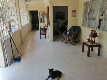 VENTA DE FINCA CARMEN DE APICALA - TOLIMA