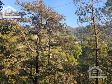 VENTA DE CABAÑA EN MINERAL DEL CHICO MUY CERCA DEL PUEBLO EN OBRA NEGRA