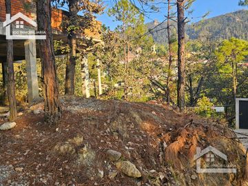 VENTA DE CABAÑA EN MINERAL DEL CHICO MUY CERCA DEL PUEBLO EN OBRA NEGRA