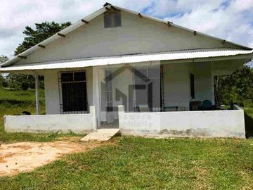 Fundo en venta 34.5 Has. Km. 38.5 carretera Iquitos Nauta