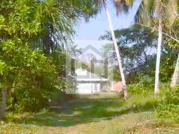 Fundo en venta 34.5 Has. Km. 38.5 carretera Iquitos Nauta