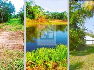 Fundo en venta 34.5 Has. Km. 38.5 carretera Iquitos Nauta