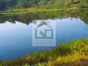 Fundo en venta 34.5 Has. Km. 38.5 carretera Iquitos Nauta