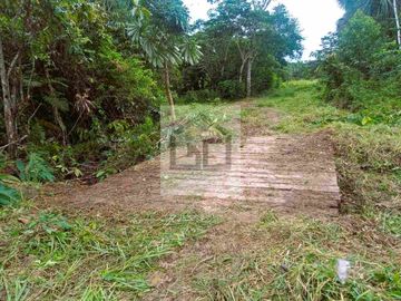 Fundo en venta 34.5 Has. Km. 38.5 carretera Iquitos Nauta