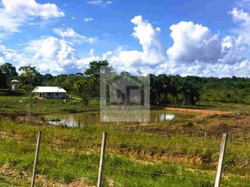 Fundo en venta 34.5 Has. Km. 38.5 carretera Iquitos Nauta